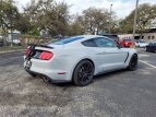 Thumbnail Photo 36 for 2016 Ford Mustang